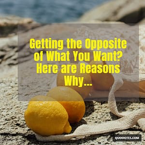 Imagining Works Storefront 5 Getting the Opposite of What You Want? Here are Reasons Why…